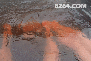 48.gif