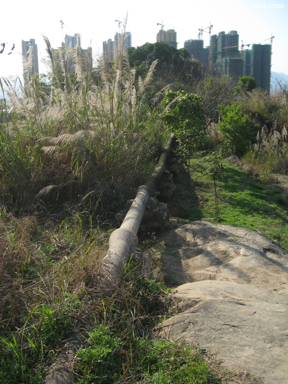 闽侯南通新岐村阳岐尾马腾村漫游3月11日