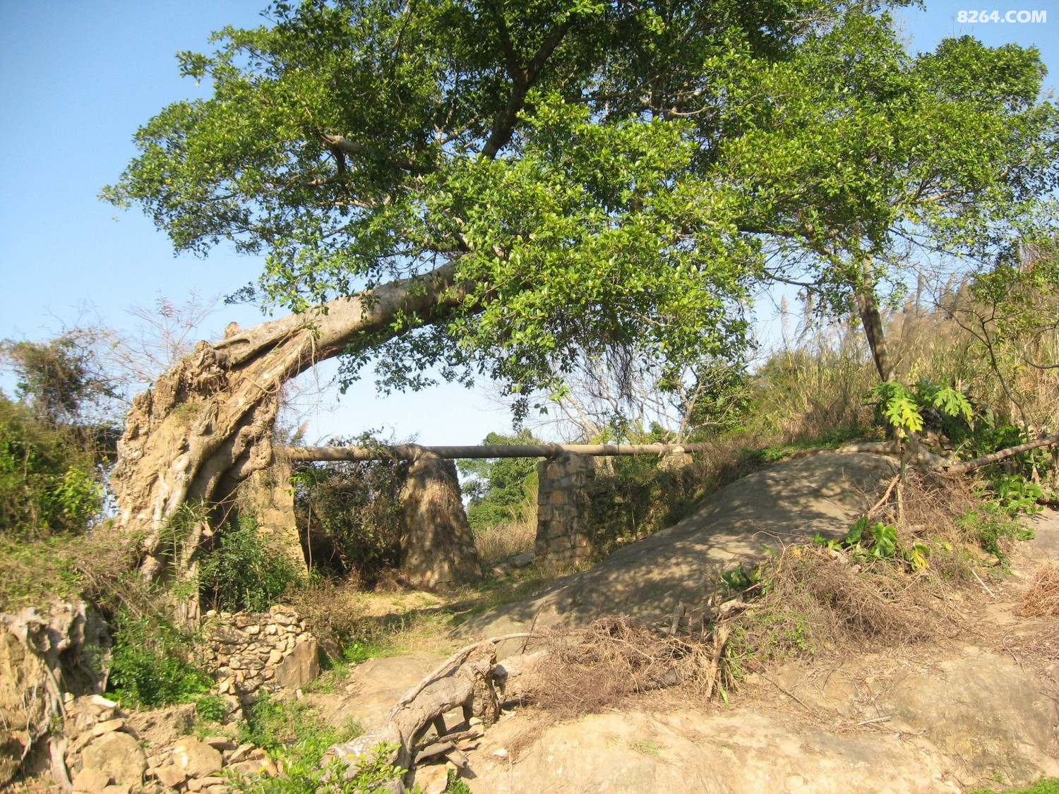 闽侯南通新岐村阳岐尾马腾村漫游3月11日