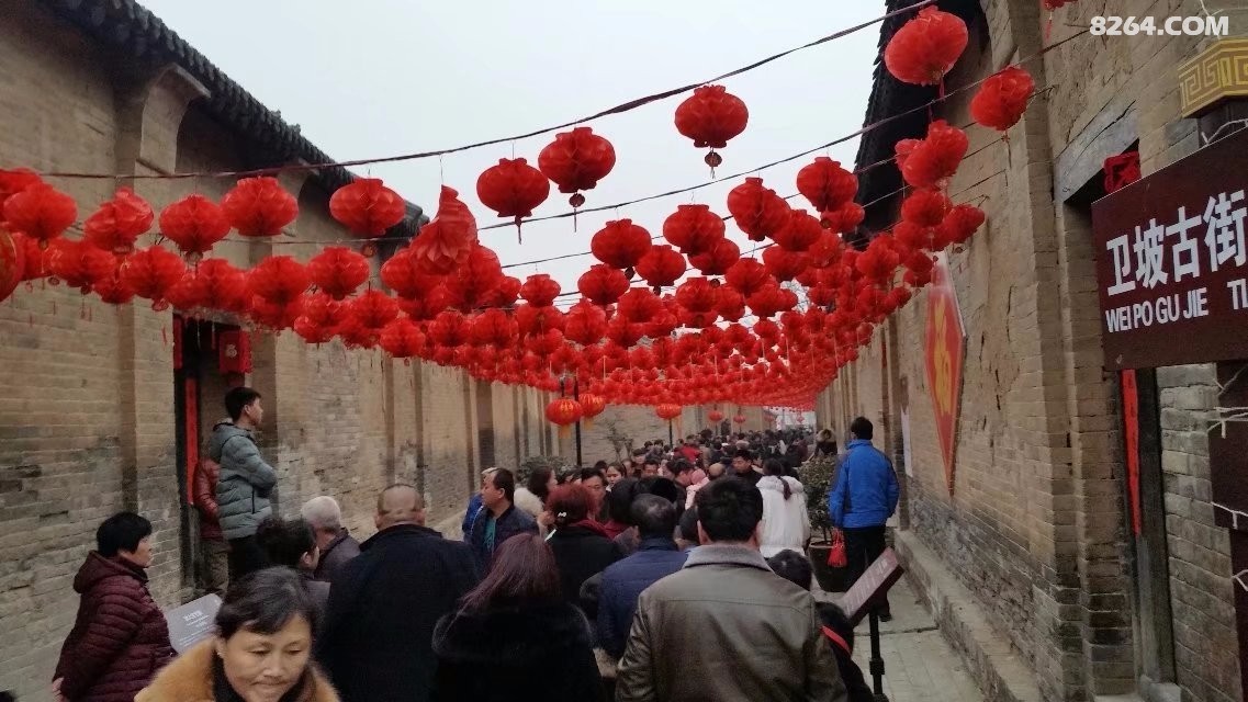 乡愁孟津篇骑游魏紫牡丹故里魏家坡村