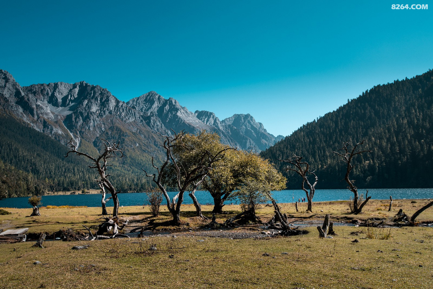 莲花湖穿越伍须海最经典多样化的线路