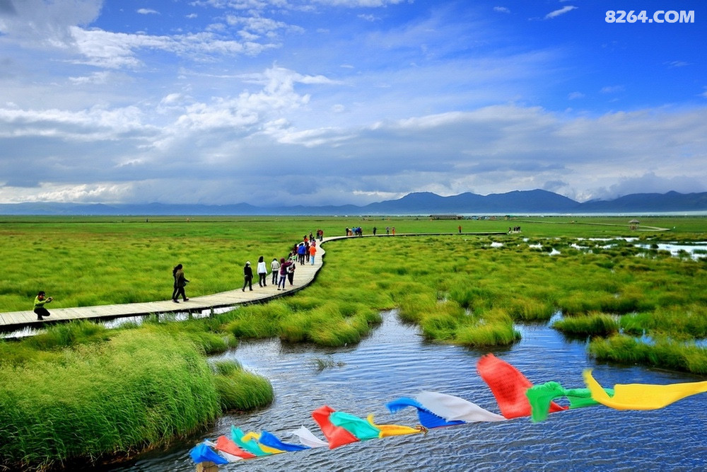 九色甘南甘南大环线行摄7日麦积山官鹅沟腊子口甘南川北年保玉则