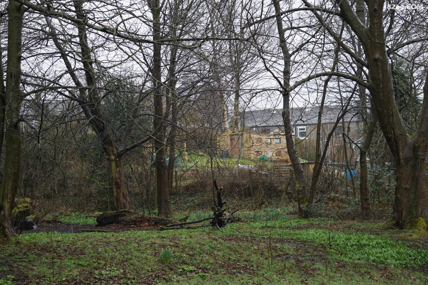 DSC00213.JPG