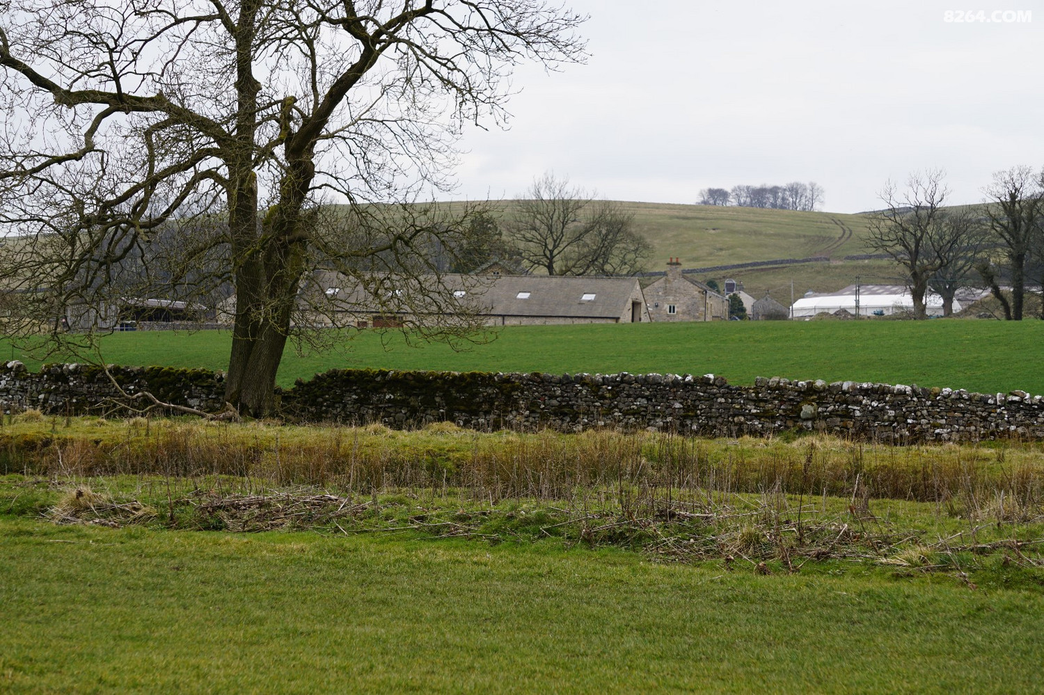 DSC00522.JPG