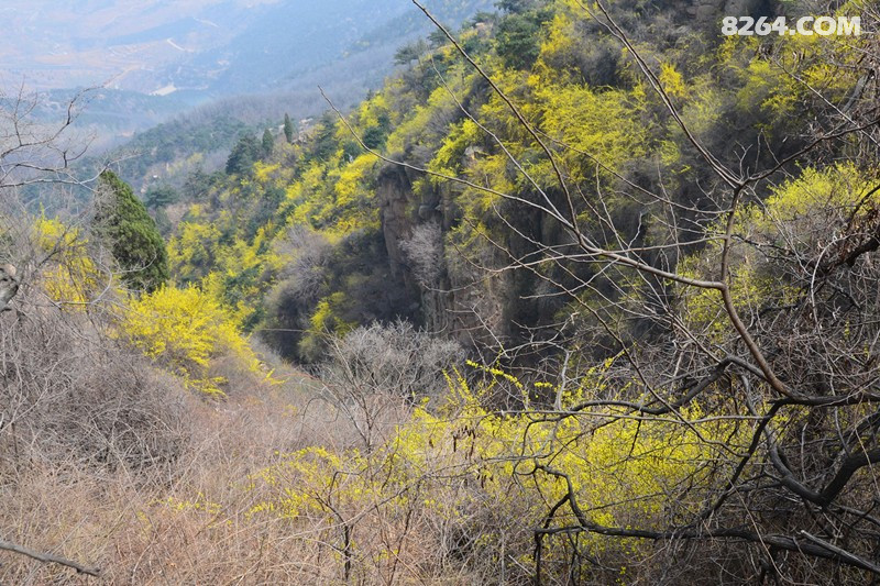 DSC_1909_����_����.jpg