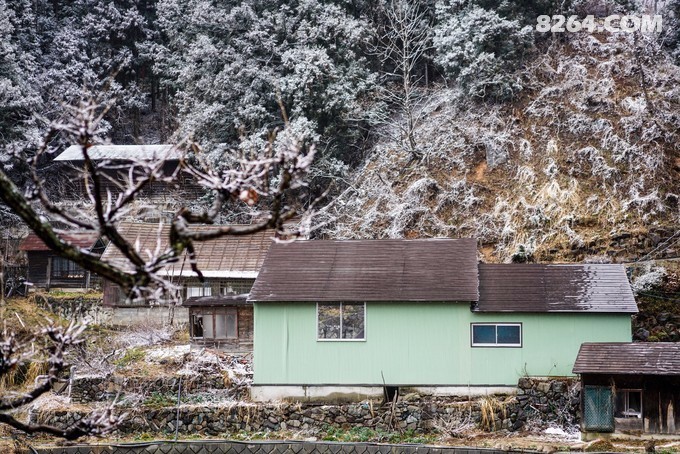 235.jpeg