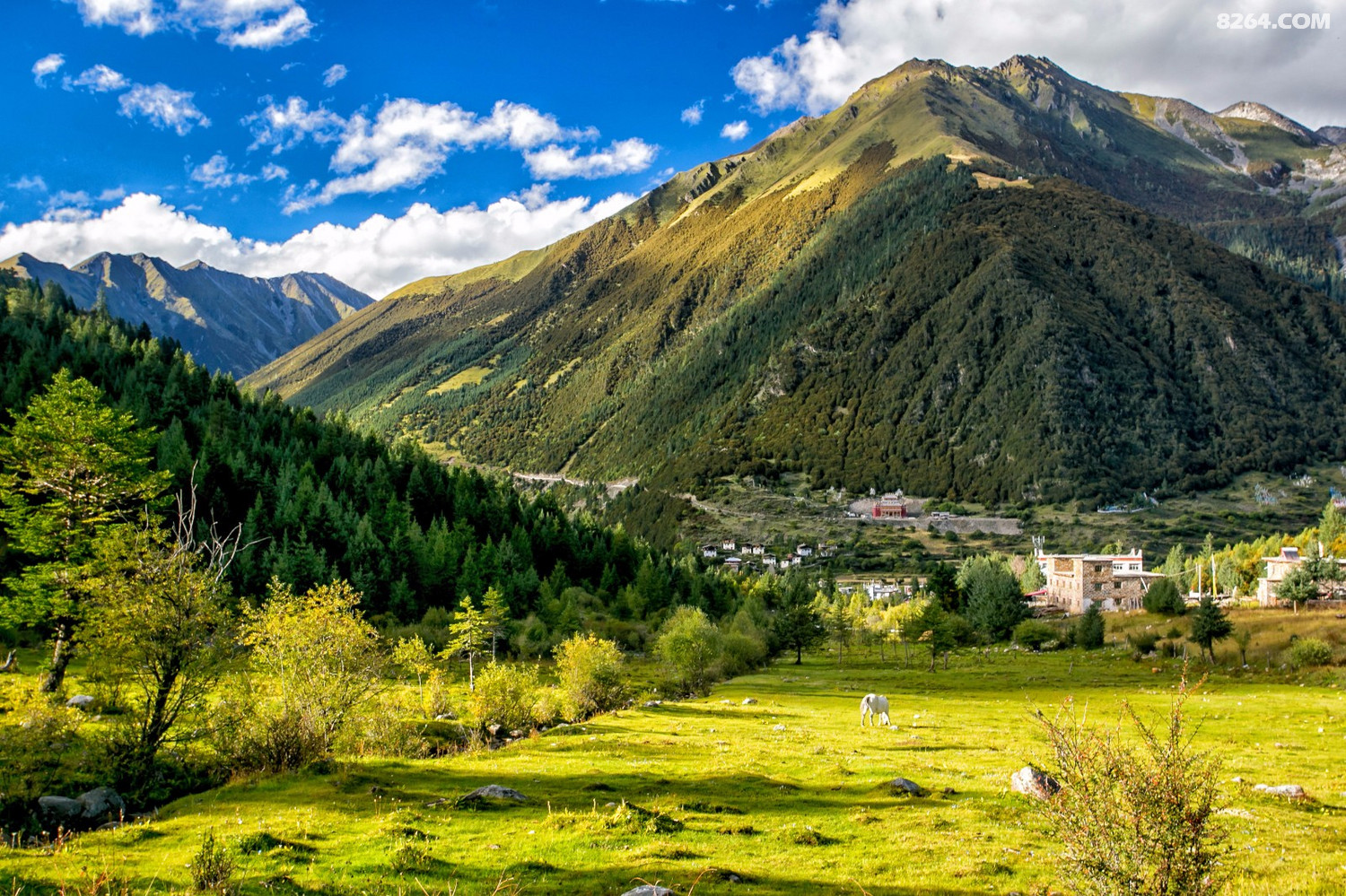 什么是党岭真正的党岭远比你想象中大的多