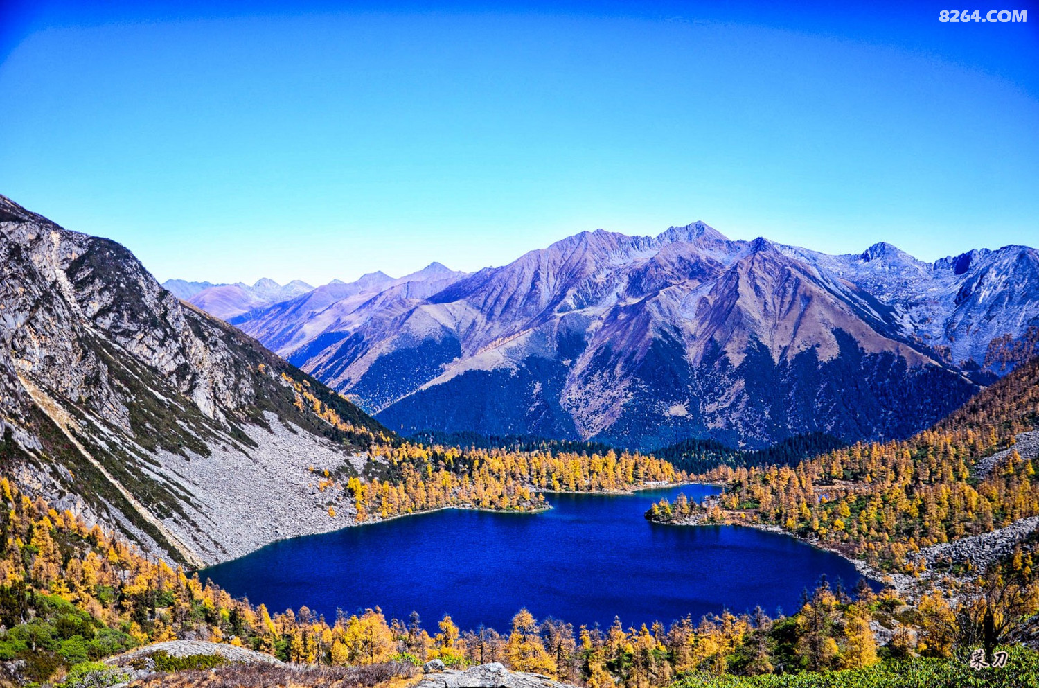 什么是党岭真正的党岭远比你想象中大的多