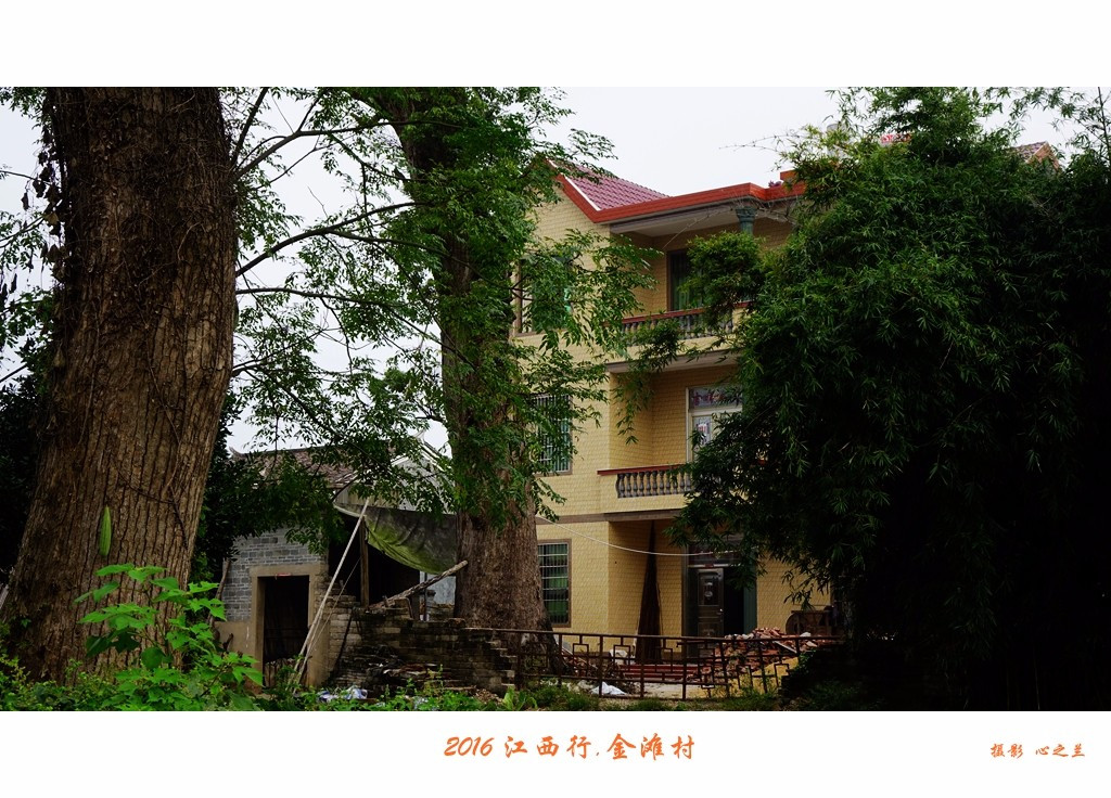 二零一六年 "十.一"江西行游影记(泰和县金滩古村38-42页)