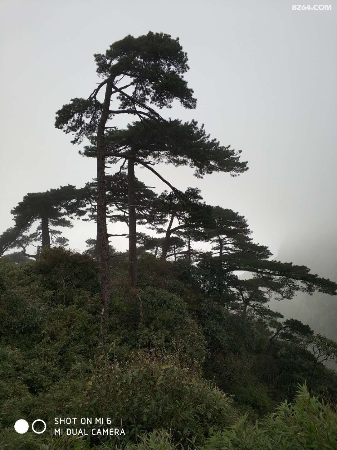 ΢��ͼƬ_20180425190547.jpg
