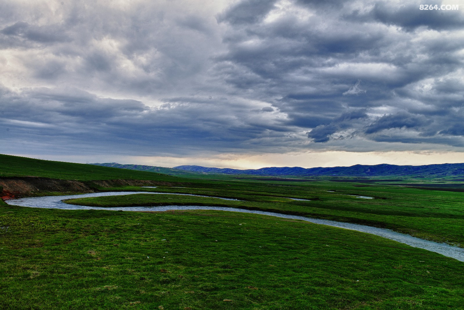 DSC_8863.JPG