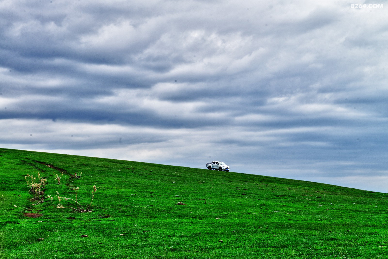 DSC_8905.JPG