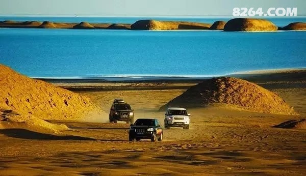 640 (1).webp (1).jpg