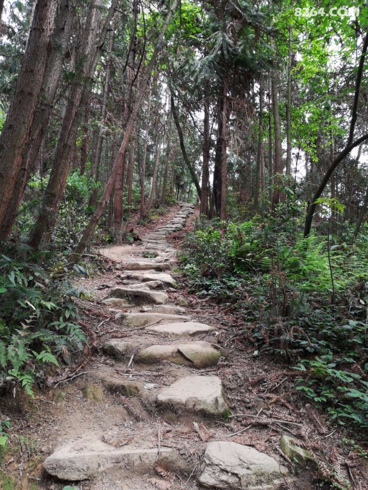 都江堰赵公山最全徒步攻略