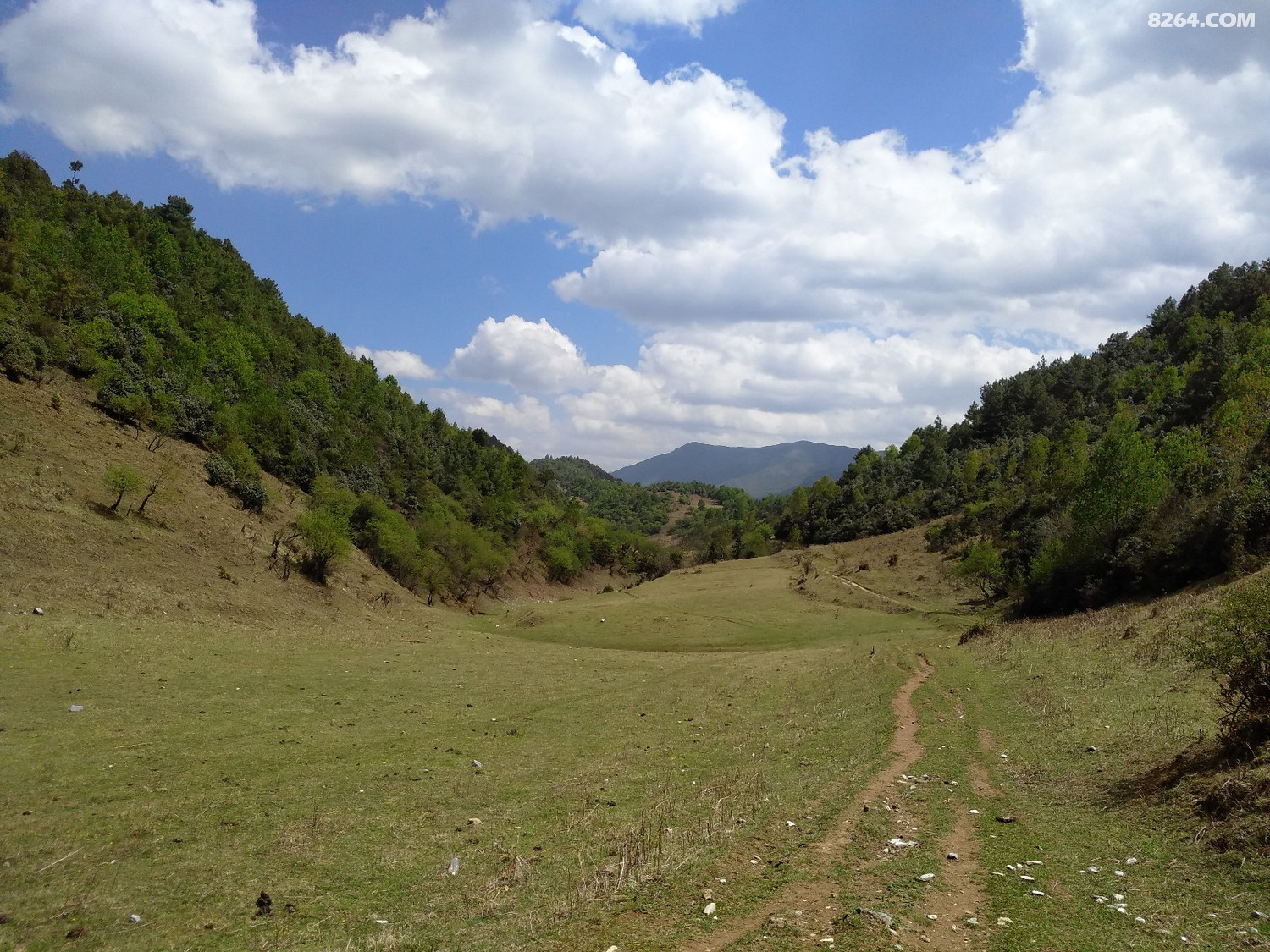 一个人的大理苍山花甸坝