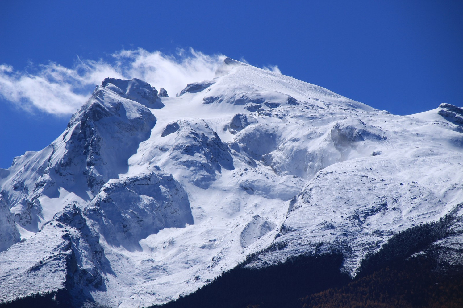云阶之上,走进哈巴雪山5396米线上分享会