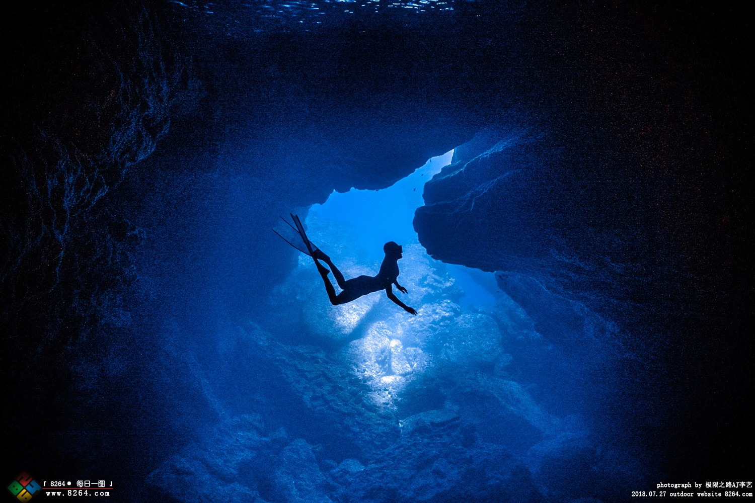 深海蔚蓝每日一图第1662期