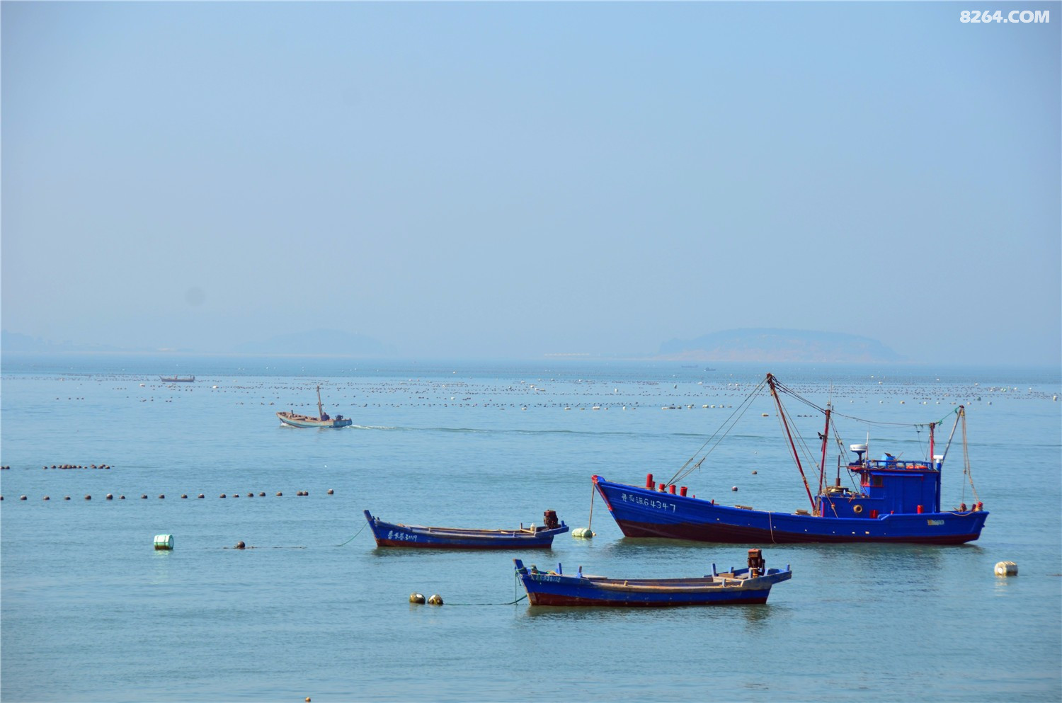 DSC_8725.jpg