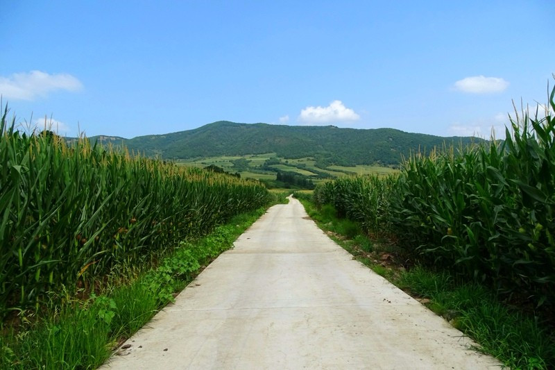 美丽延边206庙岭村
