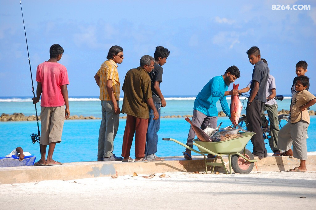 最全马尔代夫居民岛攻略33个居民岛的分析教你如何38k搞定麻袋