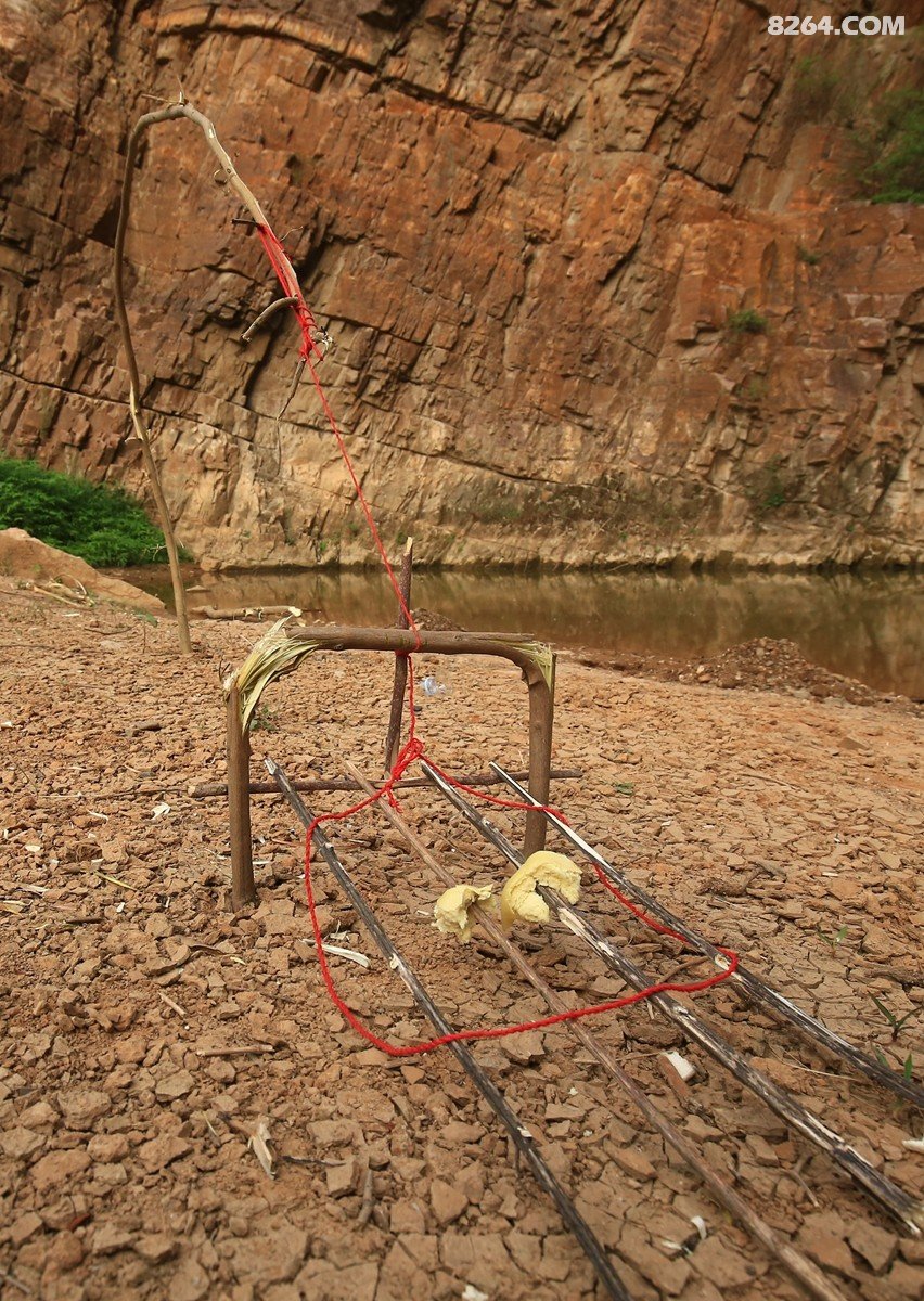 野外生存之:"捕猎陷阱"实战篇(2018年8月)