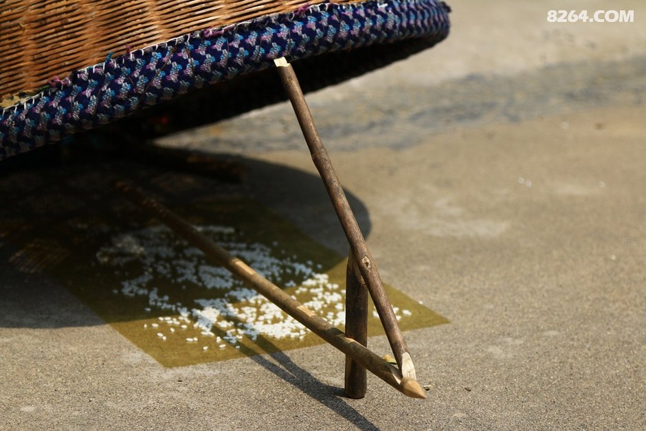 野外生存之:"捕猎陷阱"实战篇(2018年8月)