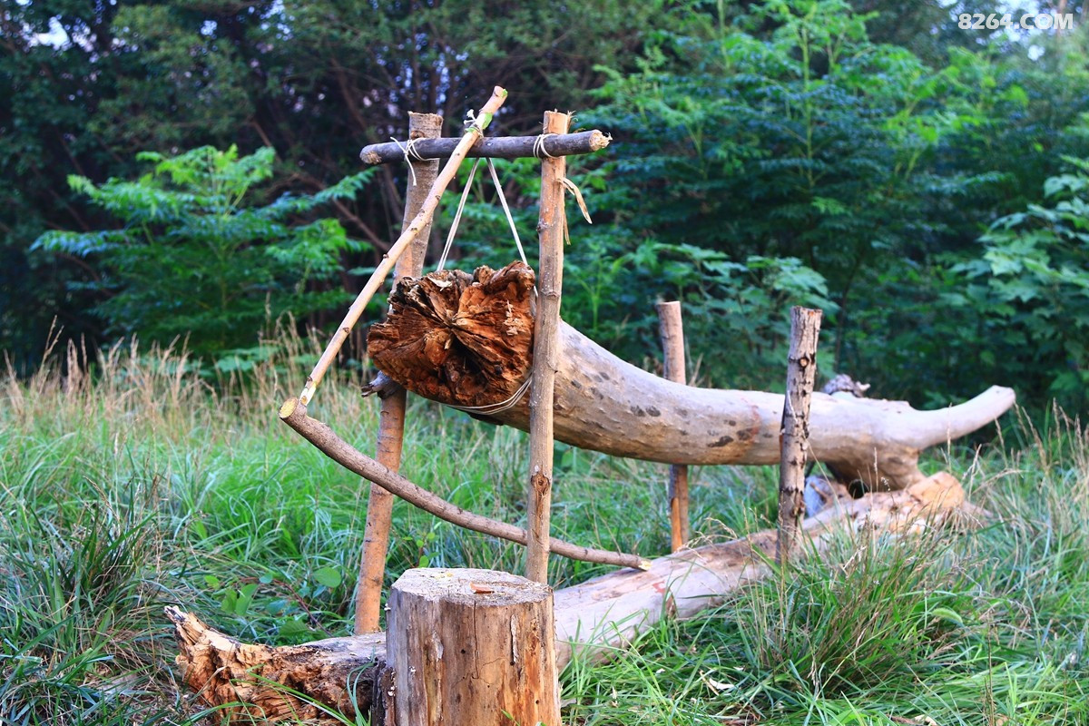 野外生存之:"捕猎陷阱"实战篇(2018年8月)