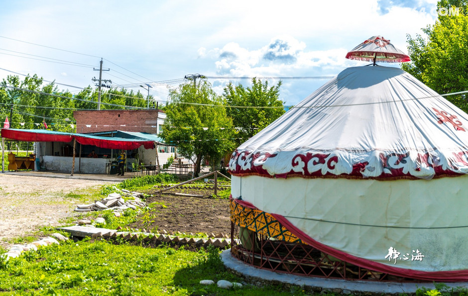百合家的农家乐有好几个毡包,接待能力不小呢.