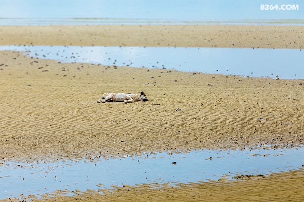 ����կ (41).jpg