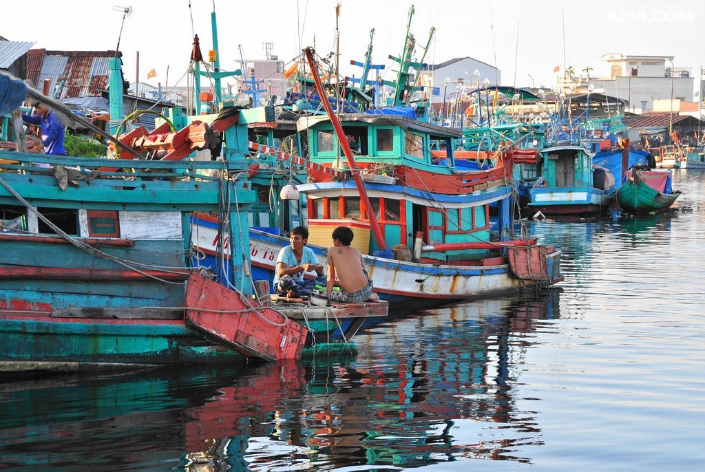 ������ (5).jpg