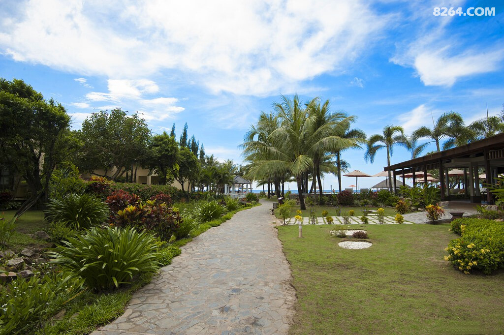 ������ (14).jpg