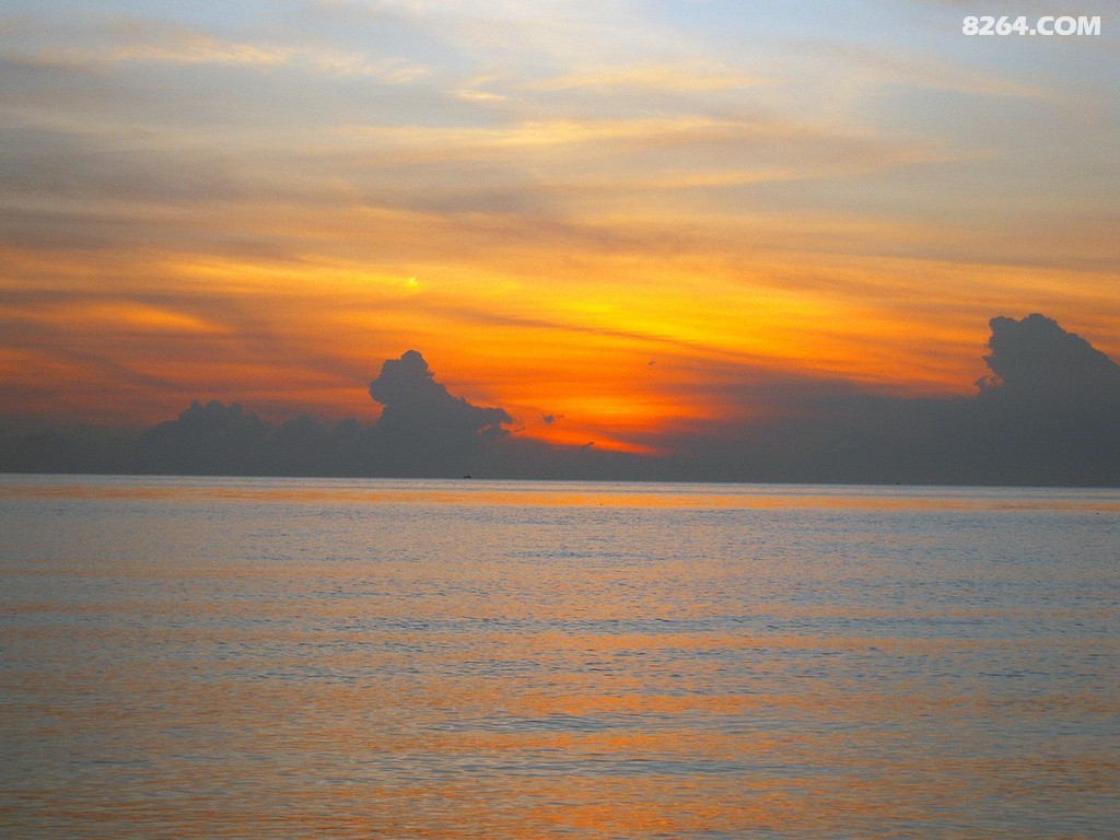 ������ (16).jpg