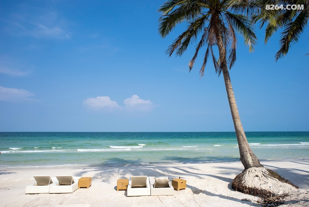 ������ (19).jpg