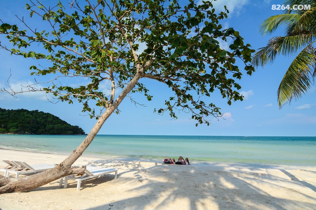 ������ (22).jpg