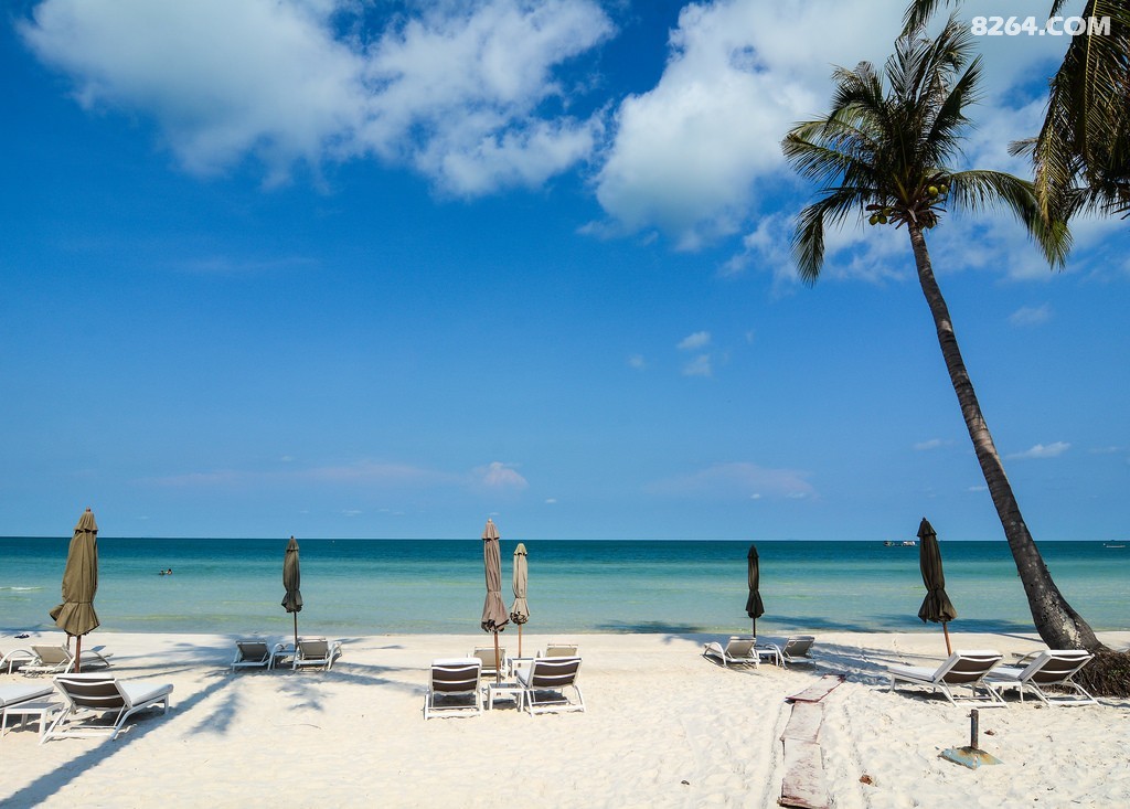 ������ (23).jpg