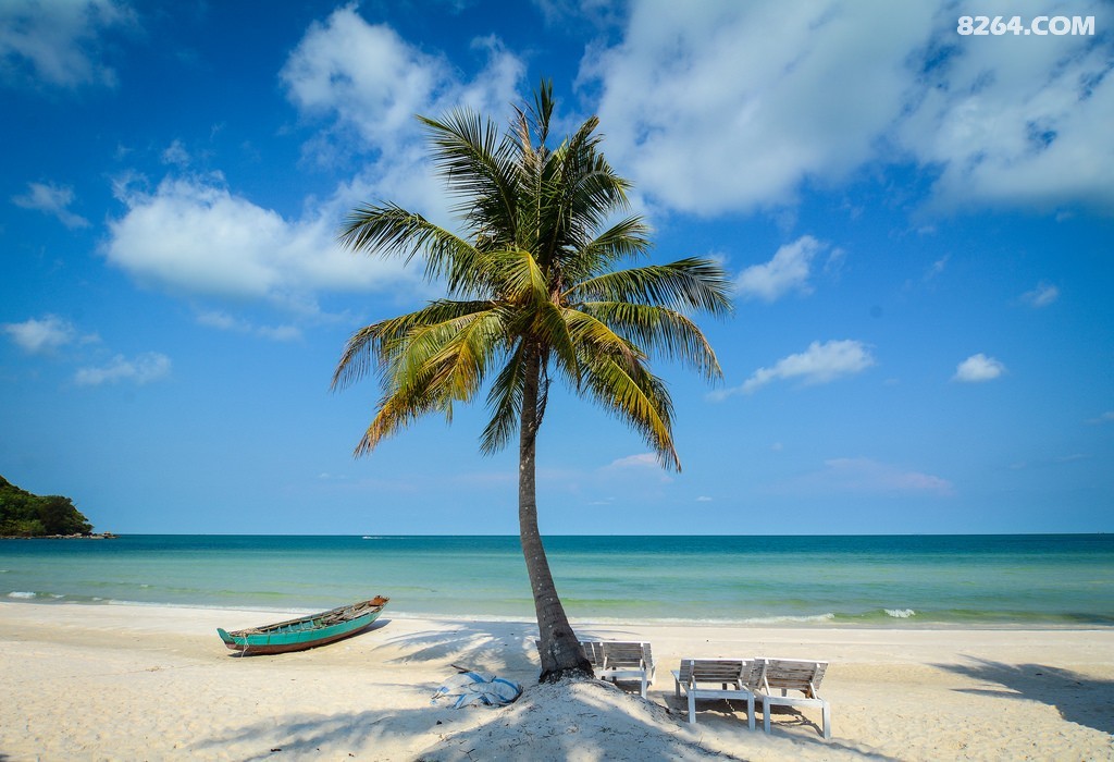 ������ (24).jpg