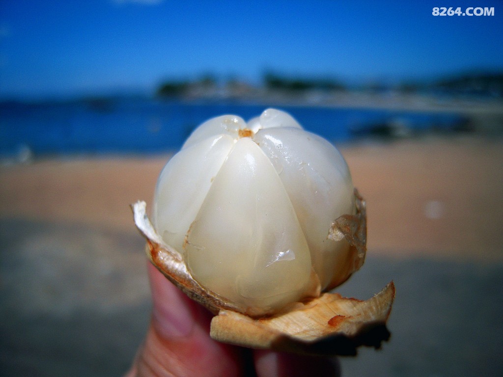 ������ (32).jpg