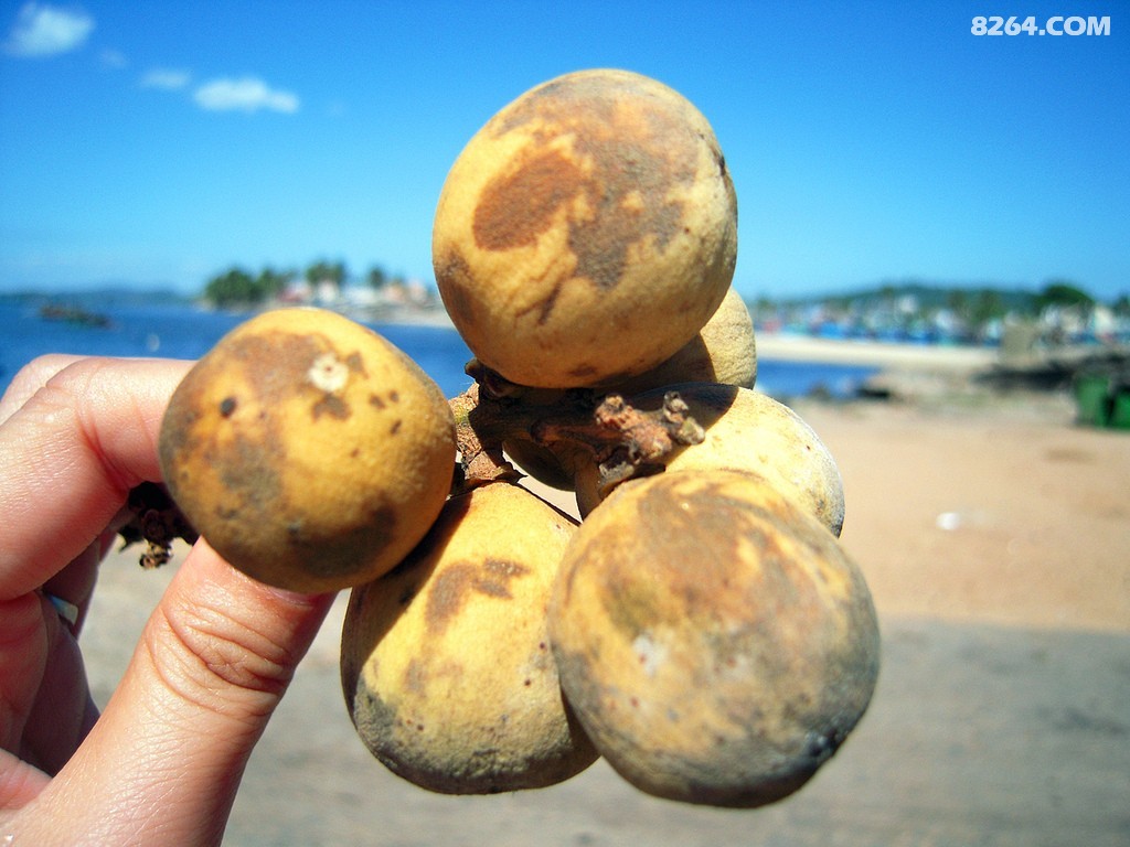 ������ (33).jpg