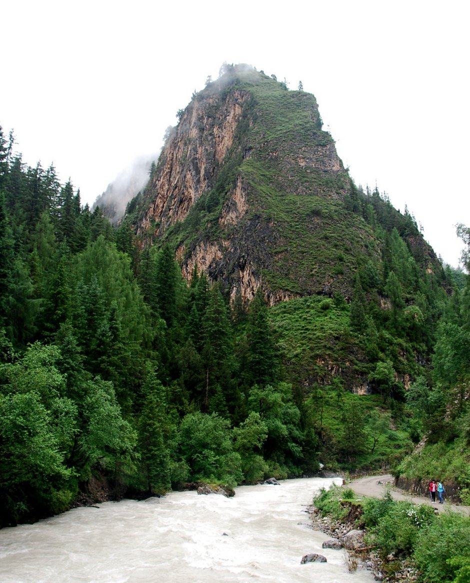 卓尼大峪沟风光