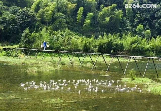 ��ɽ��Ȼ���˸���С���ݡ�����ʵ�����Ұ���٣����پ�������ѣ��ڻ�ɽ����һ�����ӣ�TA���󲨵��Σ�Ҳ���󲨵���TA���ǻ�ɽ��Ϫ�ϣ�һ��������ɫ���ǰ�ǽ���ߵĵط�������ɽ  ��Ϫ��Ψ����ʿ��������С������֪��˵������ֻ����ʿ�ܺ����ȣ���Ϫ�ϡ�����徻�غ�����������һ��ĵط�������������յĴ��̣�������Ұ���٣����˿�һ�۾�׹����Ƭ���������С���Ϫ�����ˮ��Դʮ�ֳ��棬��������Ƭ���أ�ˮ�������ˮ���ƣ��ѹ־�ʱ���ﱻ��Ϊ������׸������̾ۼ��أ������ǹŻ�������ĵط�������Ϫ�ϣ����˻��ɹ���ӣ�����ֻ���̣����ֲ�Σ���ͬ��ǳ��������������ӳ��ˮ��������ѣ��໥����������Ϫ�ϵķ�������Ϫ�����ط��ֺӶ����ģ����ֺ����°�����֧�����غӰ������Ŵ�Ƭ�����֣���˵�����Ĺ��ﳤ�����ӵķ����ֱ��峺�ĺ�ˮ�����ţ����������£����С���Ȼ���ɡ�֮�ƣ���һ���ѵõ��������б��أ��������ڣ���ʱ͸������Ľ�����ţ���Ľ��������ܵĽ��������һ����������彻������̤�����У�Ϫˮ���أ�ÿ����ʮ��������ʯ�Ż�ͷ��ר���������ϴ�ͳ��б���������ʫ�黭���е�С����ˮ�˼ң��·����һ�����̵���������֡����̵ĺ����Լ����̵����֣���������һ����Ȼˮī�����������������������ڼ䣬�·𲻾�������������ɴ������ȥ�������ͯ�����硭������������ͯ���ﾫ��Ĺ��ȣ����Ժܰ��ĵغ�������Ŀ����������ö��������������������������飬���ֺ����ڷ��ֺ��ϵ�ƽ�����ϣ���Զ��Զ�����������ɽ�ͣ���ˮ������������ɽ��ˮ�羰���ˡ���Խ�����֣��������ֺӱߣ���ˮ�������ʣ������ĵ�Ӱ������ӳ����ˮ�У�������������������Ｘ��û���˵ģ��������ﴩ�У��簮��˿�����ɾ�������żȻ����ᷢ��һͷС��ţ�����ж��ְ��ݣ����˺ò���Ľ���غӵ���ʯ��С�־ͽ�Ϫ�߽֣��ֱߵ����ֱ�Ӿ�����ŵķ��ֺӣ�����Ҳ�кܶ������ӵ���ַ�������������һ��שһƬ�߶��ǡ��й��¡�����Ϫ�ϴ����ƺ�ʼ����������ʱ�ڴﵽ�۷塣�����ߣ��㼣�鲼���ݡ��Ͼ������ݼ��ػ�һ���������ߣ��߹ٽ��࣬���Ҳ���š�����׸���֮�ơ��߽���Ϫ�ϴ壬������Ȼ����ᷢ����������ѧ�ʣ���Щʫ�����������ڹ�����ġ����У����ݸ������ͤ������ʡ�ص����ﱣ����λ���к���Ҫ�ļ�ֵ������и��С���԰����˽�˻�԰���������仨��ľ��ͤ��ɽʯ�����д���С�أ��໥����ӳ�ģ���ɫʮ���������ഫ��Ϊף֦ɽ���Ʋ����������ù滮����������ݻ��𣬵��ż���Ȼ�ɼ�������Լ������6.30�Ƽ��ݼ��ϴ���Ư�����·�����Ӱʦ������������˲�䳵��60Ԫ��ũ������40һ�������й����գ�����ע�⻷����ϵ����ʹ17756232991