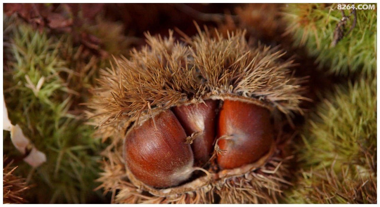 山野无痕户外 户外休闲活动 | 2018·09·23 山野寻