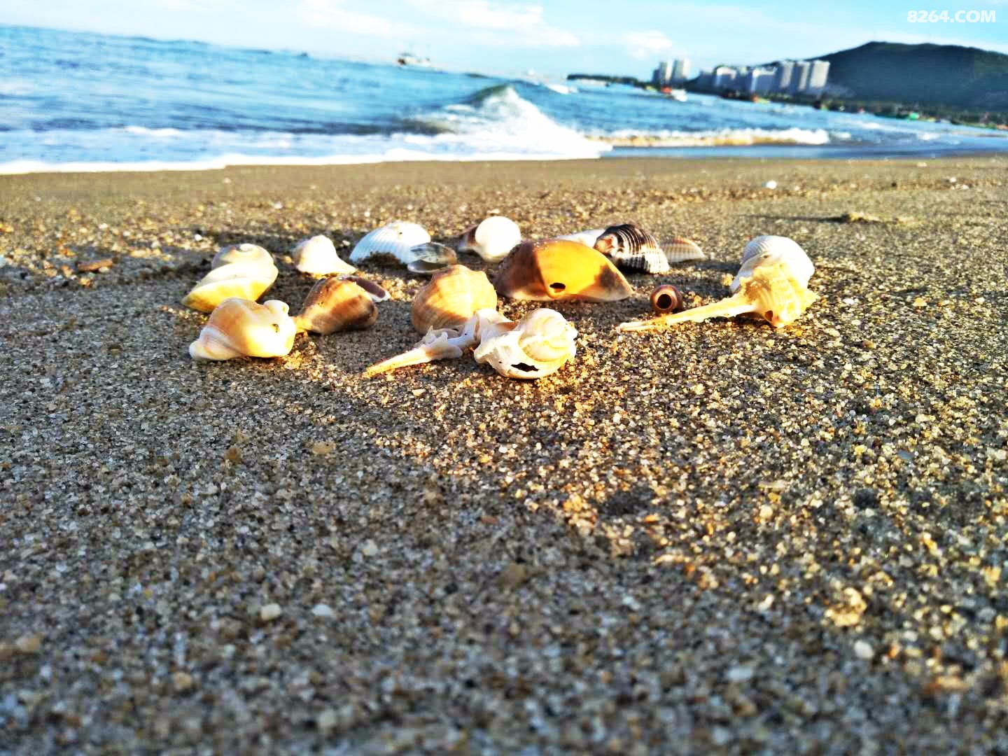 三亚原生态渔村中秋烧烤赏月撒网捕鱼划独木舟捡贝壳