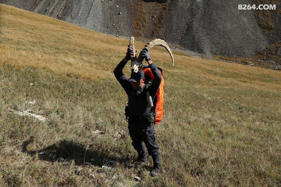 愚人哥与北山羊角.至今念念不忘的下山路,真美.