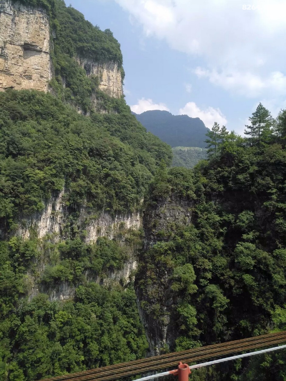 长阳兰草谷探幽