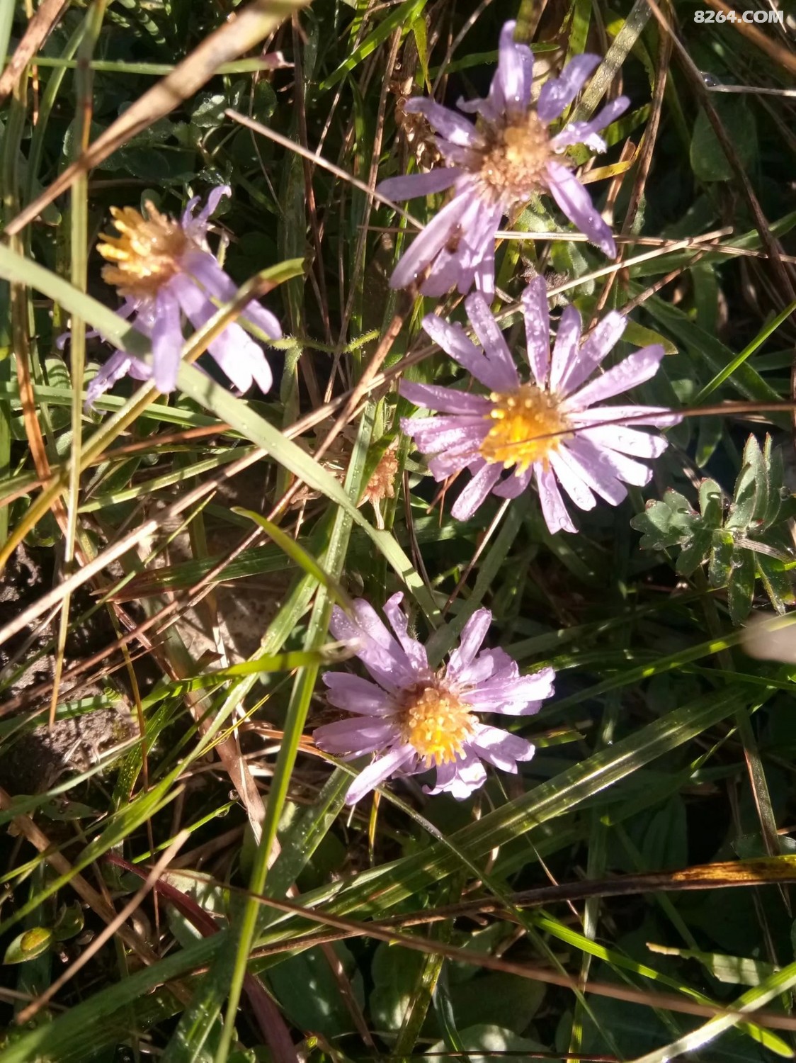 20181018_000334_009.jpg