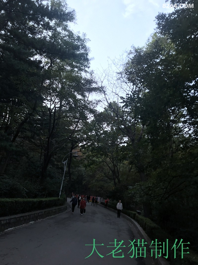 2018-10-01 165009.jpg
