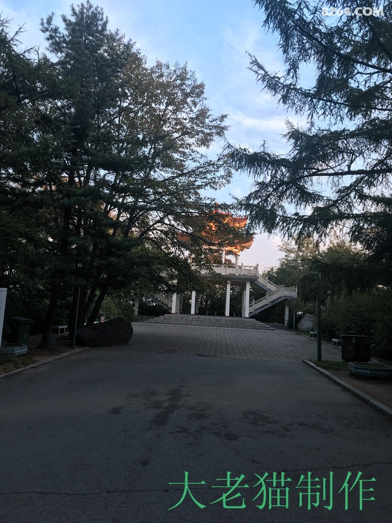 2018-10-01 165941.jpg