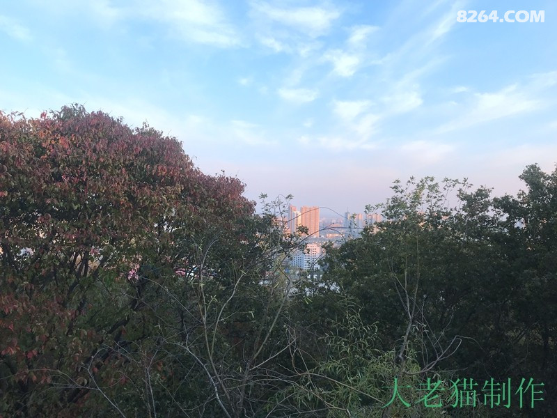 2018-10-01 170142.jpg