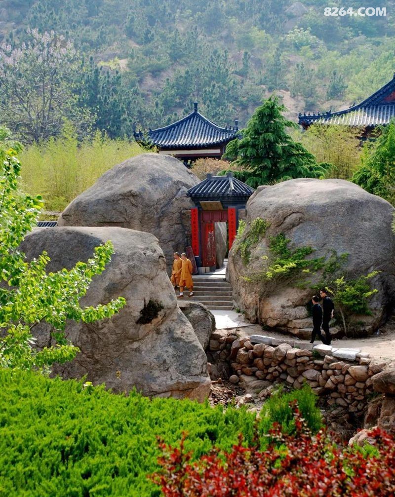 青岛大珠山风景区万亩野生杜鹃红叶染山