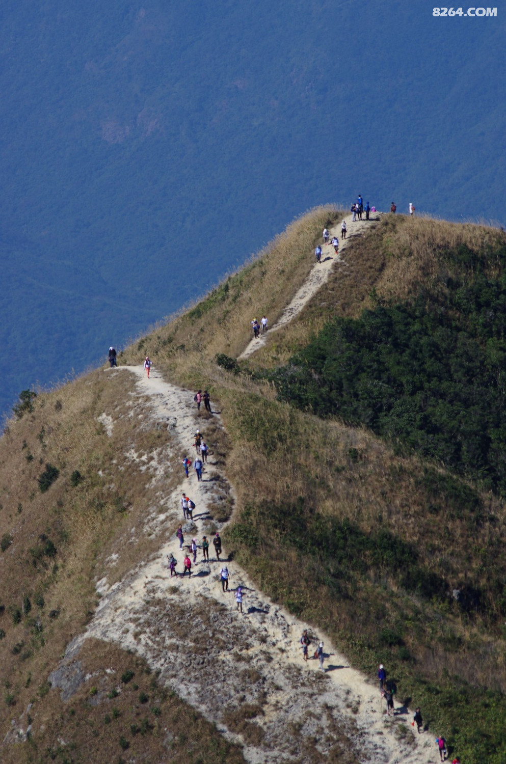 2017年单人徒步2020年约伴坑伴4211再上惠州大南山第26楼开始